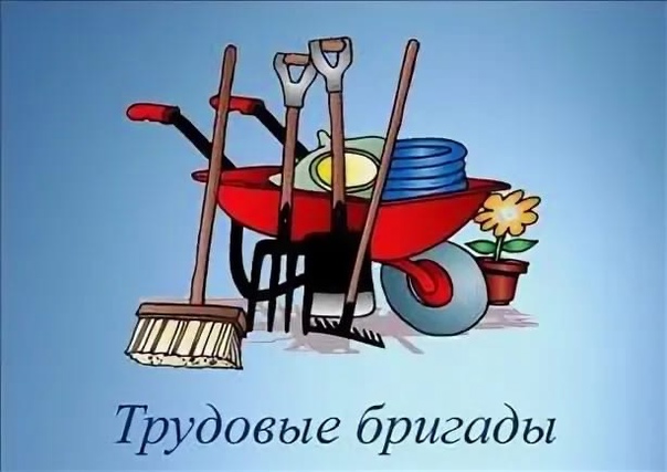 Трудовая бригада для 8, 9, 10 классов.